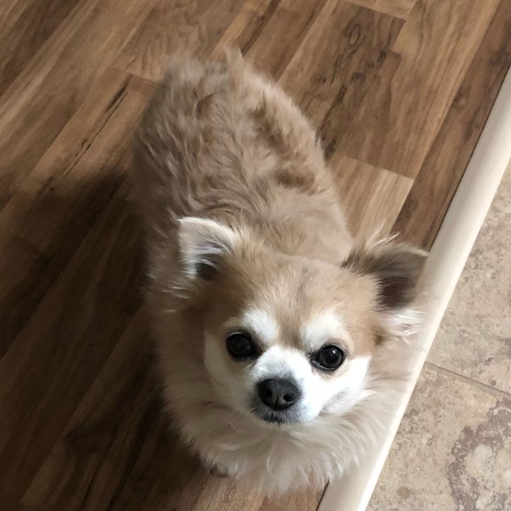 Profile Picture of Daniel Melero (@danielmelero24) on Tiktok