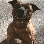 Profile Picture of Jonathan Winfrey (@jonathan.winfrey.5) on Instagram