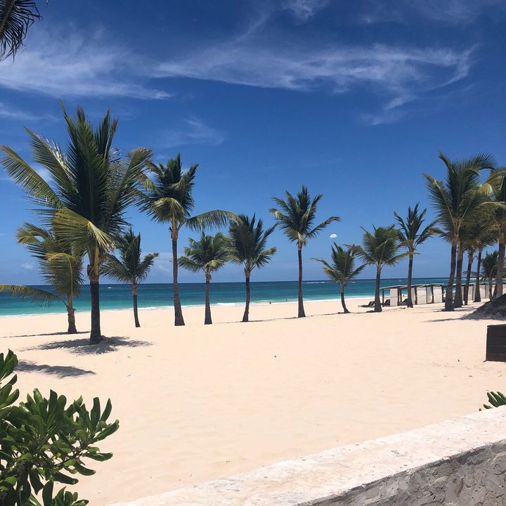 Profile Picture of rubyhaliday12 (@_rubyhalliday) on Tiktok