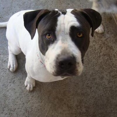 Profile Picture of Jay Murata (@jmonku) on Twitter