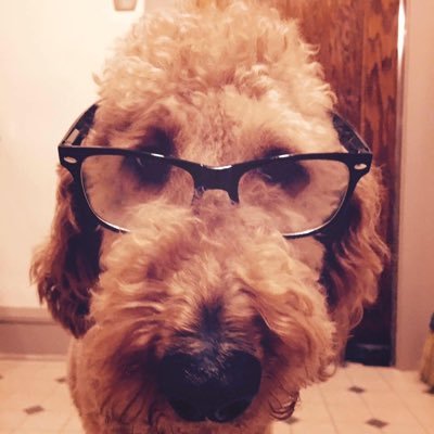 Profile Picture of Michael J. Fay (@MichaelJFay3) on Twitter