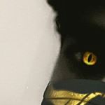 Profile Picture of Trevor Neal 👑 (@trevy_boiii) on Instagram