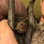 Profile Picture of Alex Brewer (@alexpaulball) on Instagram
