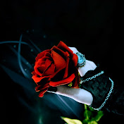 Profile Picture of Alex Bars (@alexbars5820) on Youtube