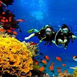 Profile Picture of Bruce Chapman (@vaillaw) on Instagram