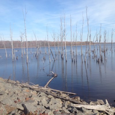 Profile Picture of Ripa Fan (@RootingforMarkC) on Twitter