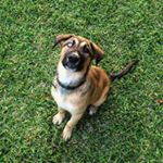 Profile Picture of Max Woolley (@armed_photography) on Instagram