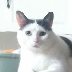 Profile Picture of Suzanne Paradis (@paradis9976) on Instagram