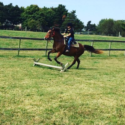 Profile Picture of Colin Snyder (@Snyder15Fahy) on Twitter