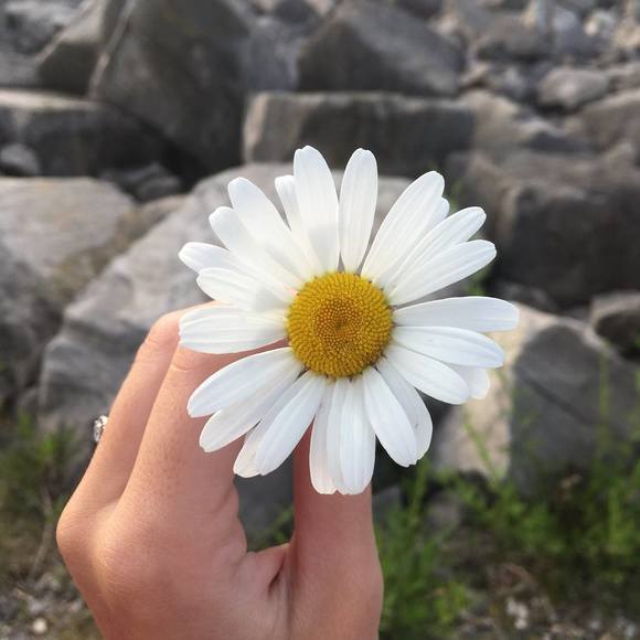 Profile Picture of Kennedy Conrad (@susu428) on Poshmark