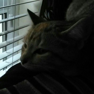 Carley Farrell - Twitter Profile Picture of Carley Farrell (@CfCarley) on Twitter