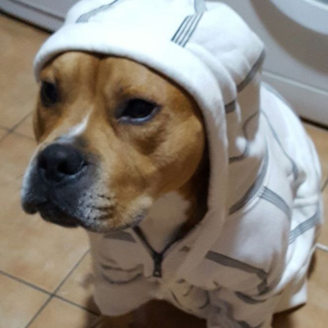 Profile Picture of nicole fernandez loor (@bertaaguilera) on Tiktok