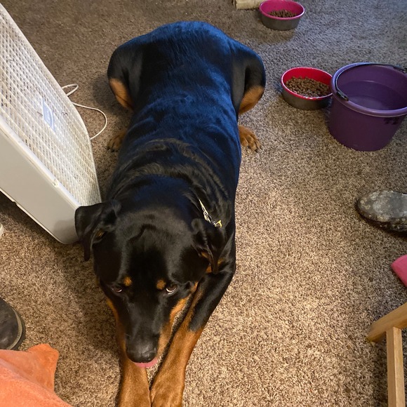 Tonya Zodrow - Poshmark Profile Picture of Tonya Zodrow (@tonyazodrow) on Poshmark