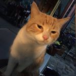 Profile Picture of Ivan Araya (@neggwe) on Instagram