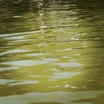 Profile Picture of Flora Matos (@flora_matos_) on Instagram