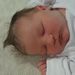 Profile Picture of Danielle Stout-Adleman (@dannigirl1023) on Pinterest