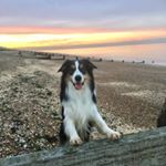 Profile Picture of Chris Mortimer (@chrismortimer84) on Instagram