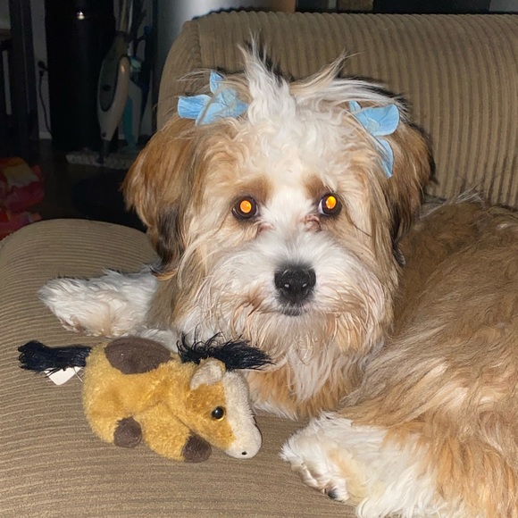 Jenna Ramos - Poshmark Profile Picture of Jenna Ramos (@jennacutie5599) on Poshmark