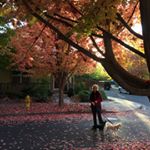 Profile Picture of Brian Prechtel (@brianprechtel) on Instagram