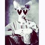 Profile Picture of Ghookassi (@ghookassi) on Instagram
