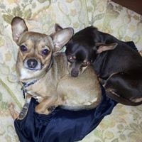 Profile Picture of Ronda Moore Seal (@ronda-moore-seal) on Quora