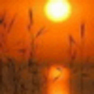 Profile Picture of Paula North (@north_paula) on Twitter