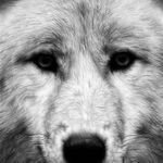 Profile Picture of Brian Helgeson (@helgesonbrian) on Instagram