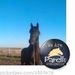 Profile Picture of Darcy Sandstrom (@pinexpert) on Pinterest