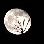 Profile Picture of Joe Walters (@joe_j05716__) on Instagram