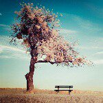 Profile Picture of Edwin Cheng (@window1984) on Instagram