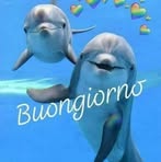 Profile Picture of Adele Angeli (@adele.angeli.16) on Facebook