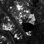 Chase Ivey - Instagram Profile Picture of Chase Ivey (@chaseivey05) on Instagram