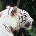Profile Picture of Marilyn Groves (@marilyn.groves.5) on Facebook