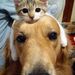 Profile Picture of Dusty Dailey (@dustydailey) on Pinterest