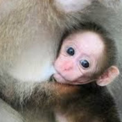 Profile Picture of Hayden Barry (@MrChunkmonk123) on Youtube