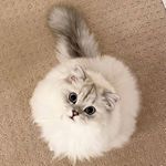 Profile Picture of Kevin G (@kevin.glenn.15) on Instagram