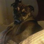 Profile Picture of Nathaniel Brockman (@brockmannathaniel) on Instagram