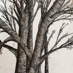 Profile Picture of audrey bernhardt (@audrey_bernhardt) on Instagram