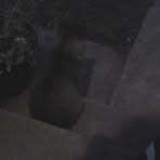 Profile Picture of Megan Cavazos (@megan.cavazos.9) on Facebook