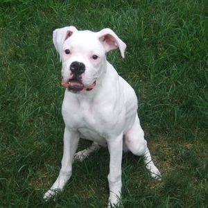 Profile Picture of Valerie Wallace (@valerie90191) on Myspace