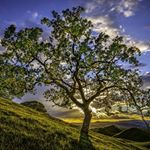Profile Picture of Stephen Joseph (@stephen_joseph_photography) on Instagram