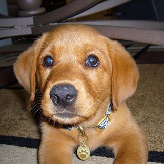 Profile Picture of Gary Zavadil (@gary.zavadil) on Facebook