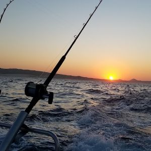 Profile Picture of Paddy3 (@patrickfee6) on Tiktok