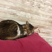 Profile Picture of Michael Moshier (@michaelmoshier3042) on Youtube