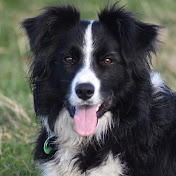 Profile Picture of Dylan Pringle (@dylanpringle2077) on Youtube