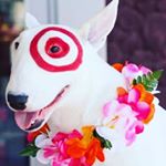 Profile Picture of Kevin Gordon (@kevingordon3478) on Instagram