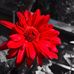 Profile Picture of Michael Colten (@michael.colten.716) on Facebook