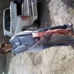 Profile Picture of John Cordell (@rebel4409) on Instagram