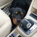 Profile Picture of Marc Joubert (@marc.joubert.1804) on Facebook