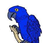 Profile Picture of quinns art cc (@yuuplex.ink) on Instagram
